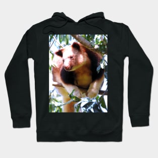 Goodfellow's Tree Kangaroo Hoodie